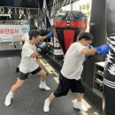 성호복싱클럽 이미지