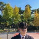 지스타플라워 이미지