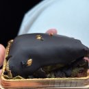 씨유편의점(서동럭키점) | 편의점 씨유 카다이프 미니수건케익 가격 맛 내돈내산 후기