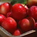 다이어트 기체조 이미지