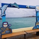 월정무인카페