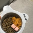 도그앤츄 | 우리집 아기들은 이렇게 먹어요 🥣🤍