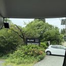 소망이 자라는 나무 | [구마모토 근교 여행] 다카모리 덴가쿠 보존회·가미시키미 신사·유카타 입고 쿠로카와 온천마을 축제...
