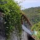 중앙동199 이미지