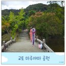 시냇물공원 | 교토 여행 당일치기 코스 마루야마 공원