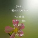 꽃길,커피랑 이미지