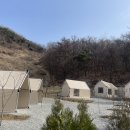 국일농장 | 체험 농장에 설치한 가성비 맞춤 바베큐텐트!