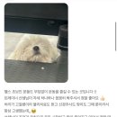 노스짐 이미지