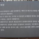 의령 서동리 함안층 빗방울 자국 이미지