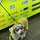 정서진중앙시장 이미지