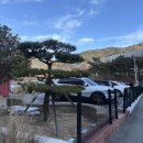 율하5로48 | [경남/김해]김해 율하 아기랑 가기 좋은 이색 잉어 카페 '커피앤더코이'