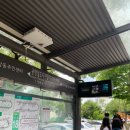 [디지털미디어시티역/상암MBC앞 상암문화광장] 맥도날드 진도파스티벌 이벤트 참여후기