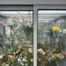 플로리스트 과정 (실무) | 제주 플로리스트 실무양성과정 내일배움카드 3회차 수업후기