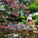 성씨고가 | 대구근교데이트 배롱나무맛집 창녕석리성씨고가