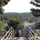 쌍둥이흑염소 이미지