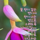 행복한 하루 이미지