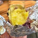 7024 | ​[신촌 찜질방] 숲속한방랜드 군고구마 &amp; 고양이 - 힐링은 찐인 숯가마 후기