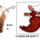한마음내과 이미지