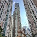 광교호수공원로 이미지