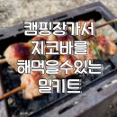 캠핑장가서 지코바를 그냥 생성해낼 수 있는 밀키트. 하린이네 닭꼬치 후기