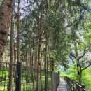 장성사랑공인중개사사무소 이미지