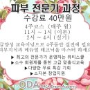 올가스킨 네이버블로그
