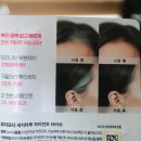 염색하기좋은날 | 다이소 염색약 모다모다 물염색 새치샴푸 사용 후기