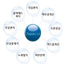 필아쿠아 이미지