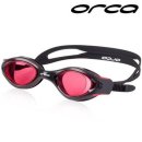 오르카수영 이미지