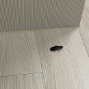 빼애방역 - 강남구 | 빼애방역