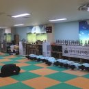 노블키즈유치원 이미지