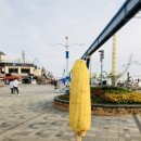 용현회수산