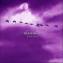 컬러웨이브(Color Wave) 이미지