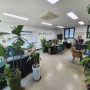 대한자동차매매상사 이미지