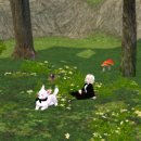 일루와농장 이미지