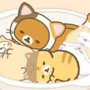 더 볼륨 이미지