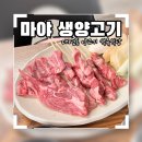 부산 대연동 마야 생양고기 식육식당 내돈내산 후기