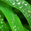 대표목장 이미지