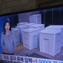 이화(梨花) | 민주[民主]정치 꽃 투표[投標] 방상현논단