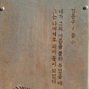 이루다(YIRUDA)