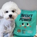 인섹트 파워 이미지