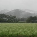 오늘도 바르개 이미지