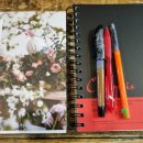 오유미 카카오 검색결과