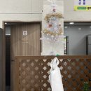 전주야채