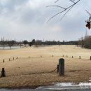 인천경서동녹청자요지 이미지