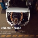 클린전자 이미지
