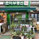 [구파발 사진관 | 조이픽포토] 증명사진 여권 사진 만 원, 구파발 가성비 사진관 추천