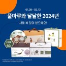 흑마늘즙 효능과 설날 선물세트 추천!! 풀마루 흑마늘즙 후기