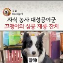 집사야, 똑바로 하개 이미지