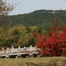 H9181 Daum카페